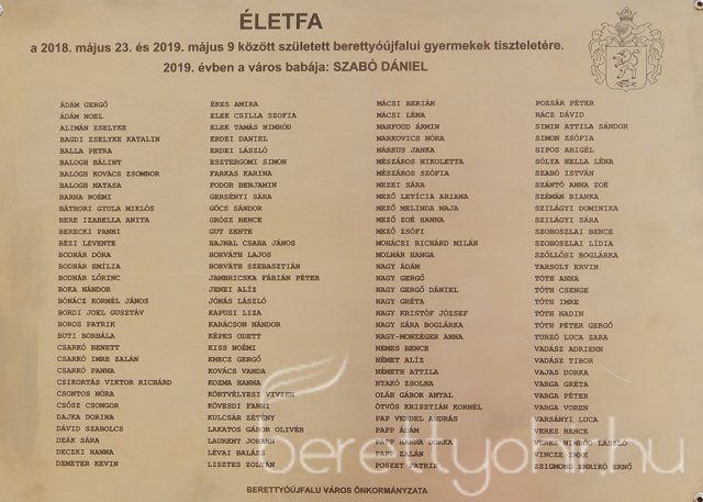 Életfát ültettünk 01